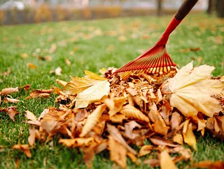 Rechen mit abgefallenen Blättern im Park. Hausmeister reinigt Blätter im Herbst. Freiwilligenarbeit, Reinigung und Ökologiekonzept.